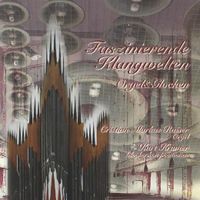 Christian-Markus Raiser - Kurt Kramer - Faszinierende Klangwelten - Orgel & Glocken